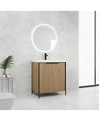 Sillysis Modern Freestanding Bathroom Vanity with Resin Sink, Soft Close Door, Adjustable Shelf, Plywood Cabinet