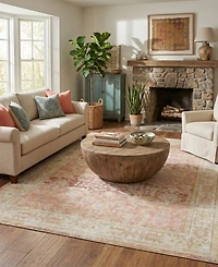 Amer Rugs Century Cen-8 Salmon 5'3" x 7'3" Area Rug