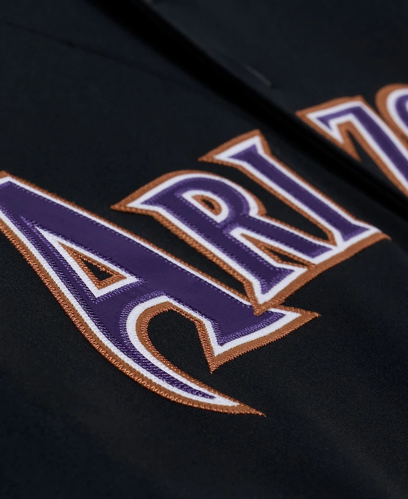 Mitchell & Ness Men's Randy Johnson Black Arizona Diamondbacks 2001 Authentic Jersey