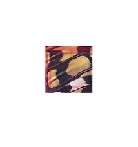Desigual Women's Butterfly scarf