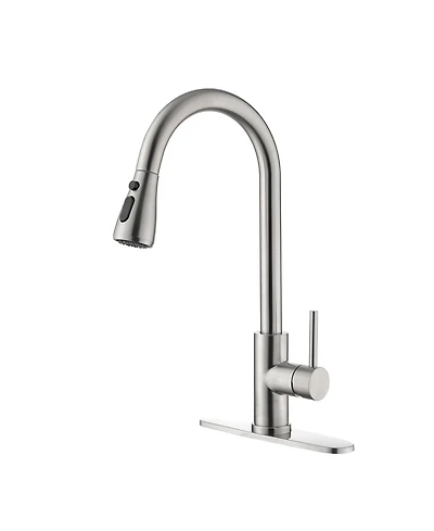Phying Single Handle Kitchen Sink Faucet with Pull Out Sprayer
