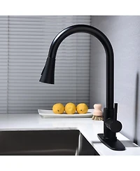 Phying Kitchen Faucet with Pull Out Spraye