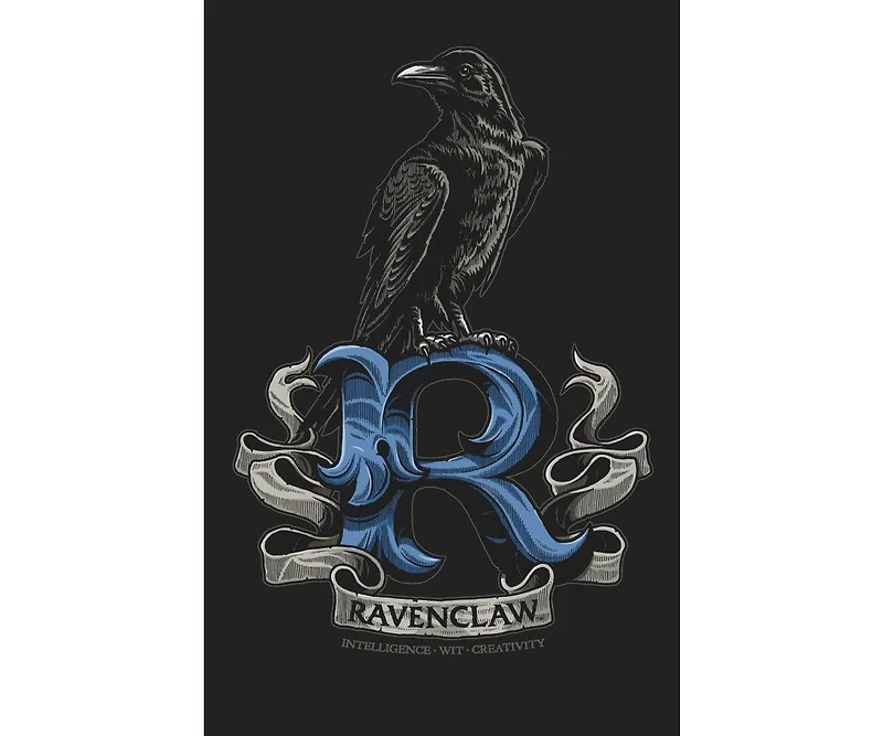 Harry Potter Big & Tall Ravenclaw Raven Black T-shirt-4XL