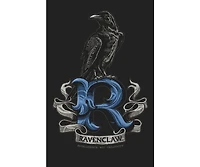 Harry Potter Big & Tall Ravenclaw Raven Black T-shirt-4XL