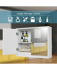 Volenca 2-Door Wall-Mounted Mirrored Medicine Cabinet, 22-in W