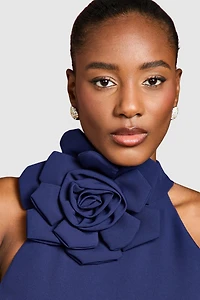 Coast Women's Corsage High Neck Midi Dress
