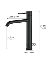 Busdays Tall Single Hole Modern Single Handle Bathroom Sink Faucet for Vanity Basin