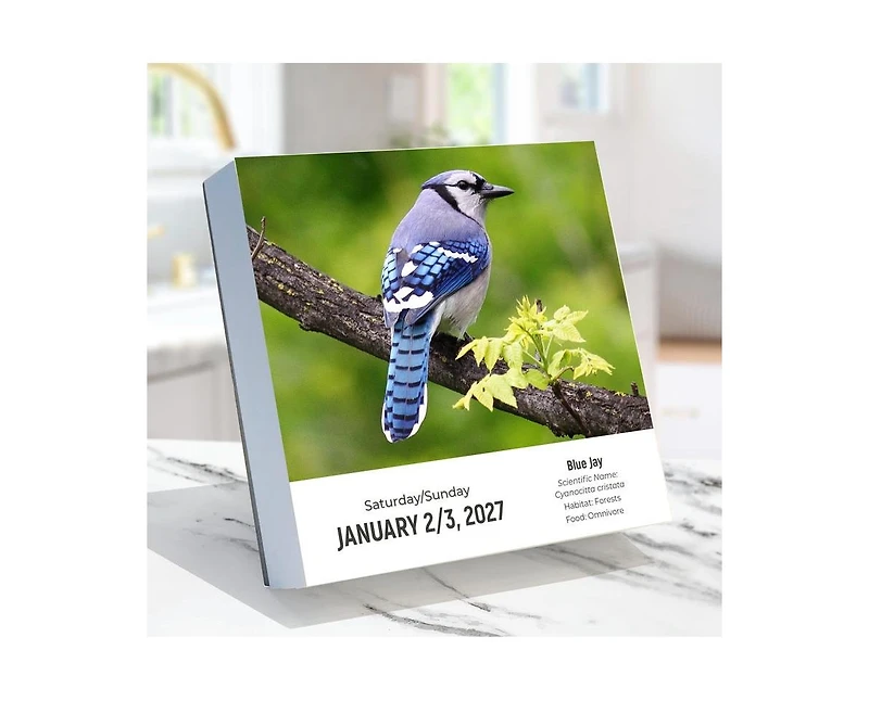 Tf Publishing Paper Goods 2027 Birds Backyard and Beyond Daily Desktop Calendar