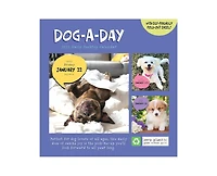 Tf Publishing Paper Goods 2027 Dog A Day Daily Desktop Calendar