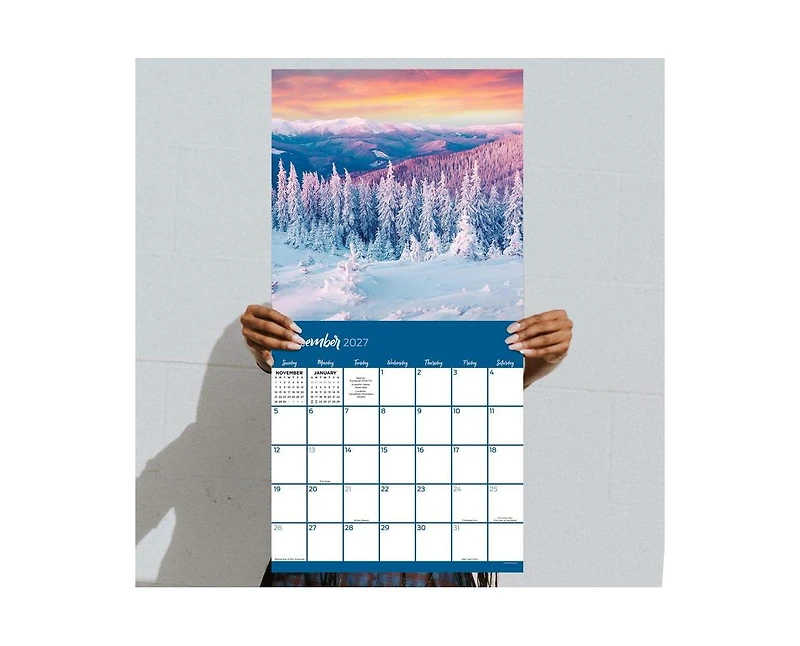 Tf Publishing Paper Goods 2027 Trees Wall Calendar