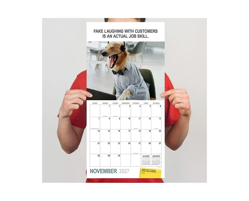 Tf Publishing Paper Goods 2027 Desk Dogs Wall Calendar
