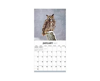 Tf Publishing Paper Goods 2027 Owls Wall Calendar