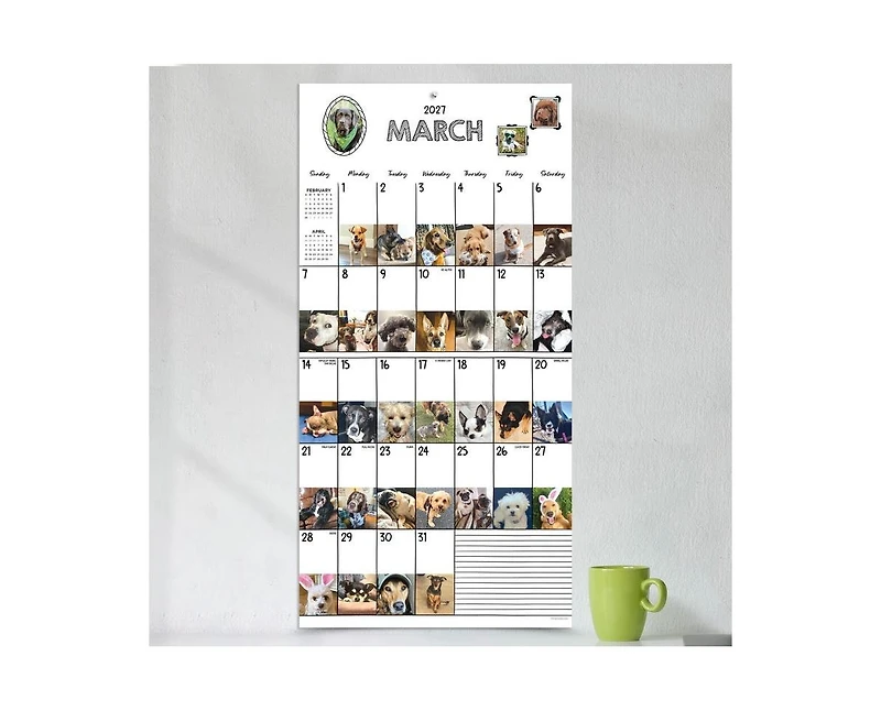 Tf Publishing Paper Goods 2027 Dog-a-Day Wall Calendar