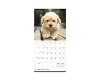 Tf Publishing Paper Goods 2027 Puppies Mini Calendar