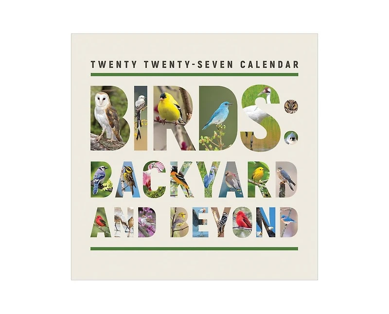 Tf Publishing Paper Goods 2027 Birds Backyard and Beyond Wall Calendar