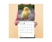 Tf Publishing Paper Goods 2027 Baby Animals Wall Calendar