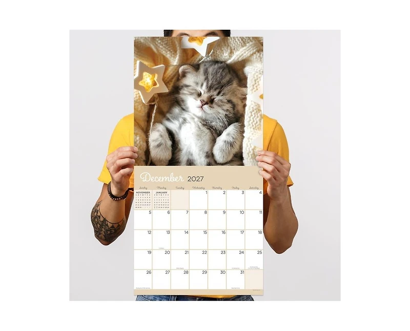 Tf Publishing Paper Goods 2027 Cat Dreams Wall Calendar