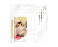 Tf Publishing Paper Goods 2027-2028 Kitten Small Monthly Pocket Planner