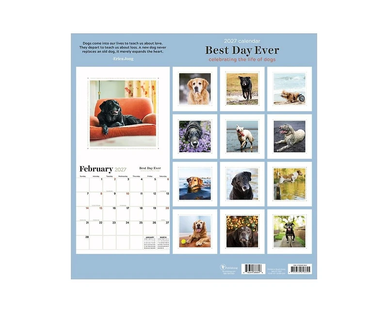 Tf Publishing Paper Goods 2027 Best Day Ever Celebrating The Life of Dogs Wall Calendar