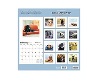 Tf Publishing Paper Goods 2027 Best Day Ever Celebrating The Life of Dogs Wall Calendar