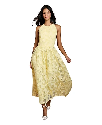 Coast Women's Halterneck Lace Midi Dress