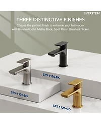 Everstein Bathroom Faucet with Drain Assembly, Single Handle Sink
