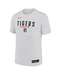 Nike Men's White Detroit Tigers Authentic Collection Velocity Dri-fit T-Shirt