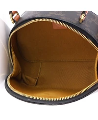 Pre-Owned Celine Half Moon Case Triomphe Coated Canvas with Leather
