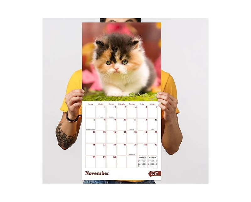 Tf Publishing Paper Goods 2027 Kittens Wall Calendar