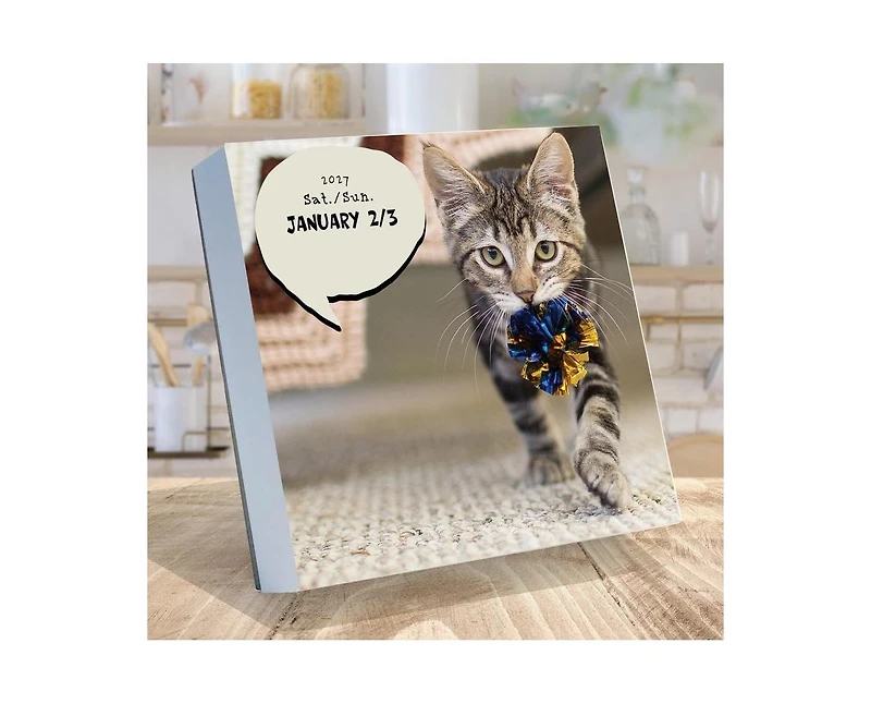 Tf Publishing Paper Goods 2027 Cat A Day Daily Desktop Calendar