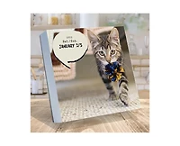Tf Publishing Paper Goods 2027 Cat A Day Daily Desktop Calendar