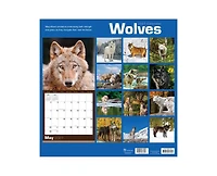 Tf Publishing Paper Goods 2027 Wolves Wall Calendar