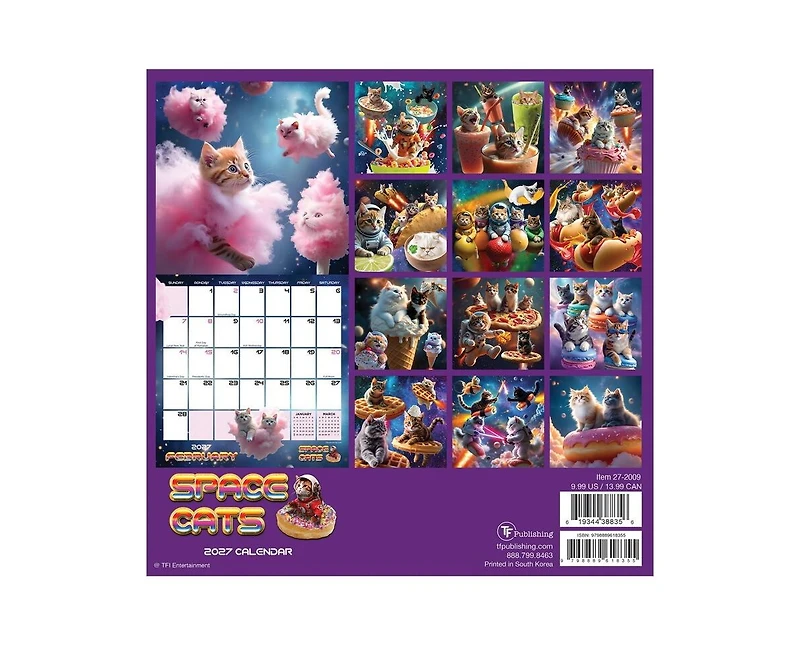 Tf Publishing Paper Goods 2027 Space Cats Mini Calendar