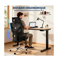 homfan Ergonomic High-Back Mesh Office Chair with 4D Armrests, Lumbar Support, Headrest, Seat Depth Adjustment, Tilt Lock