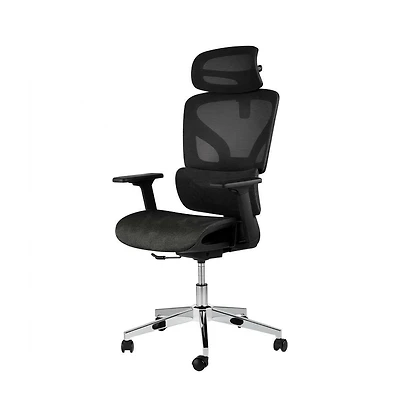 homfan Ergonomic High-Back Mesh Office Chair with 4D Armrests, Lumbar Support, Headrest, Seat Depth Adjustment, Tilt Lock