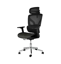 homfan Ergonomic High-Back Mesh Office Chair with 4D Armrests, Lumbar Support, Headrest, Seat Depth Adjustment, Tilt Lock