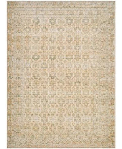 Becki Owens Renaissance 541943 Rug Collection