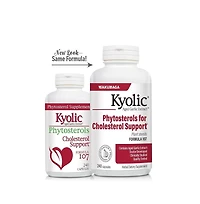 Kyolic Aged Garlic Extract Formula 107, Phytosterols for Cholesterol Support, 240 Capsules