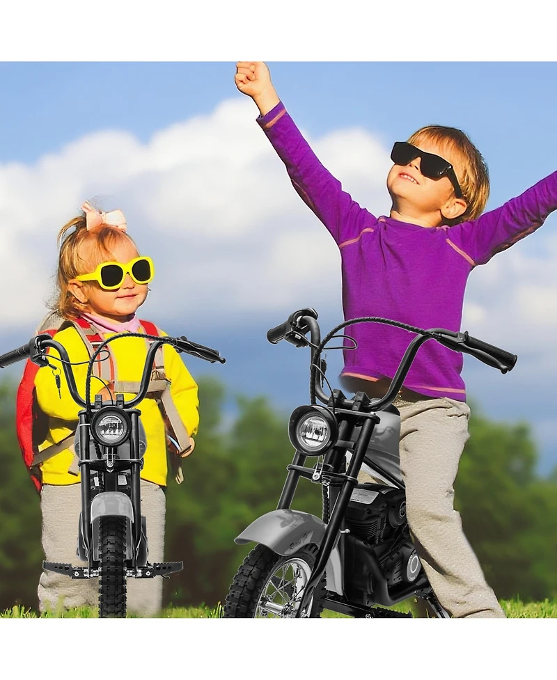 homfan 24V 250W Electric Dirt Bike for Kids, 2-Speed Ride On Motorcycle, Up to 14 Mph, Leather Seat, Rear Brake, For Ages 8-12