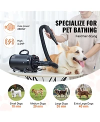 Vevor Dog Dryer 2800W Pet Grooming Dryer Adjustable Speed with 4 Nozzles
