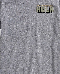 Airwaves Men's The Hulk Demolition Graphic T-Shirt