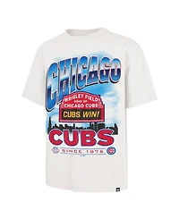 '47 Brand Men's White Chicago Cubs Regional Upland Foundation T-Shirt