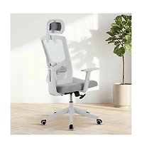 homfan Ergonomic Mesh Office Chair with Lumbar Support, Headrest, Flip-Up Arms, 350lb Capacity
