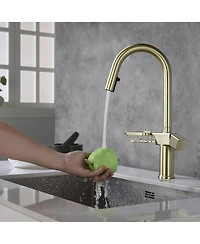 Busdays Brushed High Arc Kitchen Faucet Pull Down Single Hole Stainless Steel Modern Sink Faucet