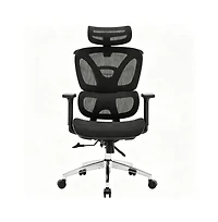 homfan Ergonomic Executive Office Chair, High Back Mesh Computer Chair with Adjustable Headrest and Lumbar Support for Home Office