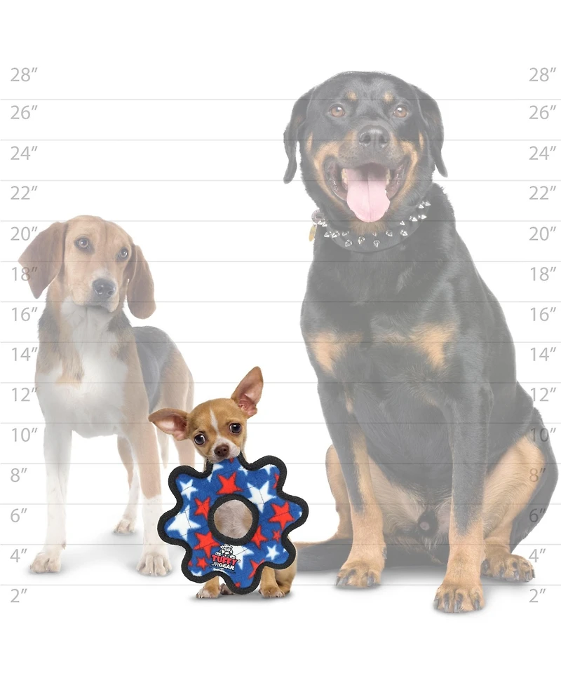 Tuffy Jr Gear Ring Star, Dog Toy