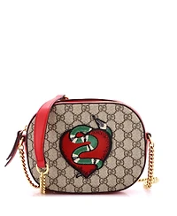 Pre-Owned Gucci Mini Chain Crossbody Bag Embroidered Gg Coated Canvas