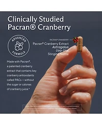 Sunergetic Kidney Cleanse Supplement with Pacran Cranberry, Astragalus and Herbal Blend for Kidney and Urinary Tract Support, 60 Capsules