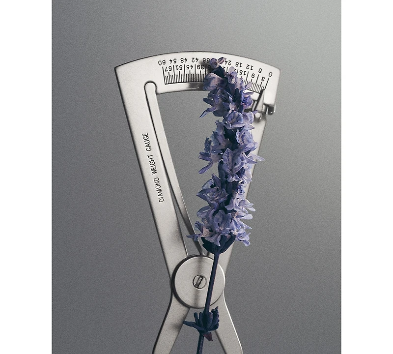 Creed Iris Debonair Eau de Parfum