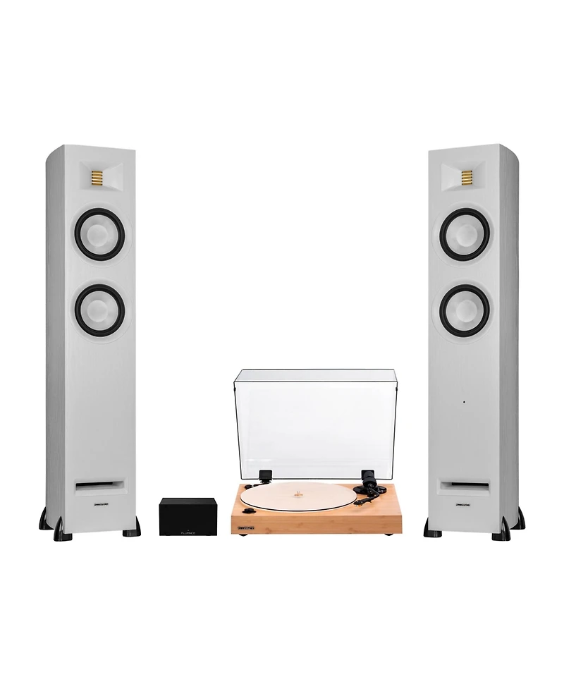 Fluance RT85N and Ri91 Nagaoka Mp-110 Cartridge 150W Turntable Powered Speaker System